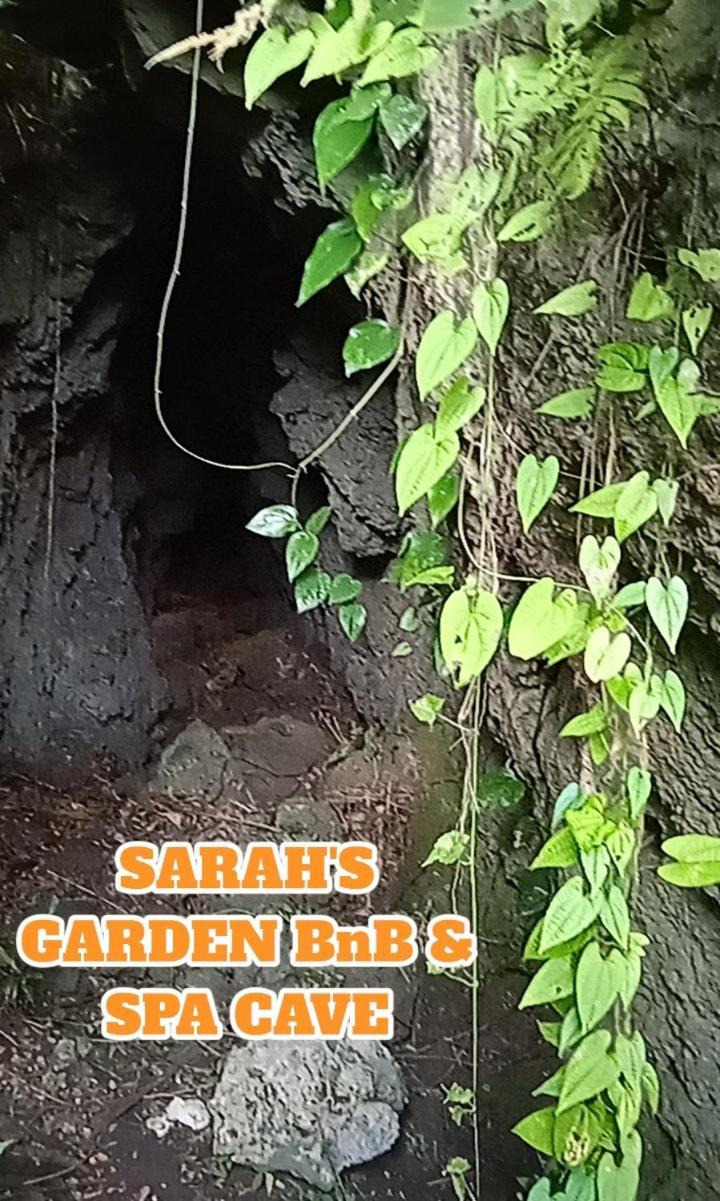 Bed and Breakfast Sarah'S Garden Bnb & Spa Clarin  Zewnętrze zdjęcie